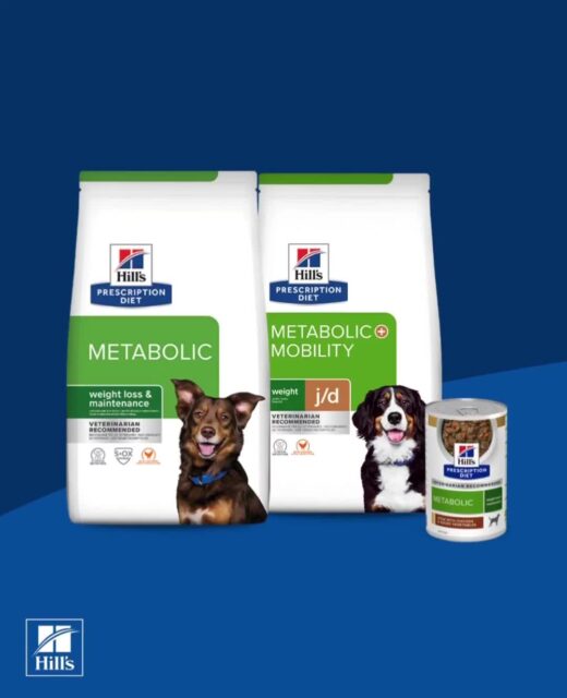 This video shows a before & after of a dog who started eating Hill’s Prescription Diet Metabolic and the difference is WILD. Same dog. Same cuteness. Just healthier, lighter, and way more energy 💚
Less extra weight =
✔️ Easier movement
✔️ Happier joints
✔️ More playtime
✔️ Longer cuddle sessions (obviously the most important)
It’s not about looks — it’s about helping our best friends feel their best 🐾 If your dog has been struggling with weight, this kind of vet-recommended nutrition can be a total game changer.
Healthy pup = happy life 🥹💫
#DogTransformation #HealthyDog #WeightLossJourney #DogMomLife #PetWellness