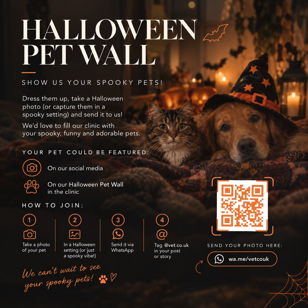 🎃 HALLOWEEN PET WALL 👻
Is your pet ready for a little Halloween magic? 🐾🧡
Capture your pet in their spookiest Halloween moment — whether they’re dressed up, surrounded by pumpkins, enjoying a spooky setting, or simply giving us those Halloween vibes! 👻🎃
Send us your favourite Halloween photo — we’d love to fill our clinic with your spooky, funny and adorable pets. 🐶🐱
✨ Your pet could be featured:
📱 On our social media
🧡 On our Halloween Pet Wall in the clinic
How to join:
1️⃣ Take a Halloween-themed photo of your pet 🎃
2️⃣ Create a spooky vibe — costumes are optional! 👻
3️⃣ Send your photo to us via WhatsApp 📲
4️⃣ Tag @vet.co.uk in your post or story
📲 Send your photo here:
WhatsApp – https://w.app/vetcouk
We can’t wait to see your spooky, cute & creative pets! 🐾🎃👻