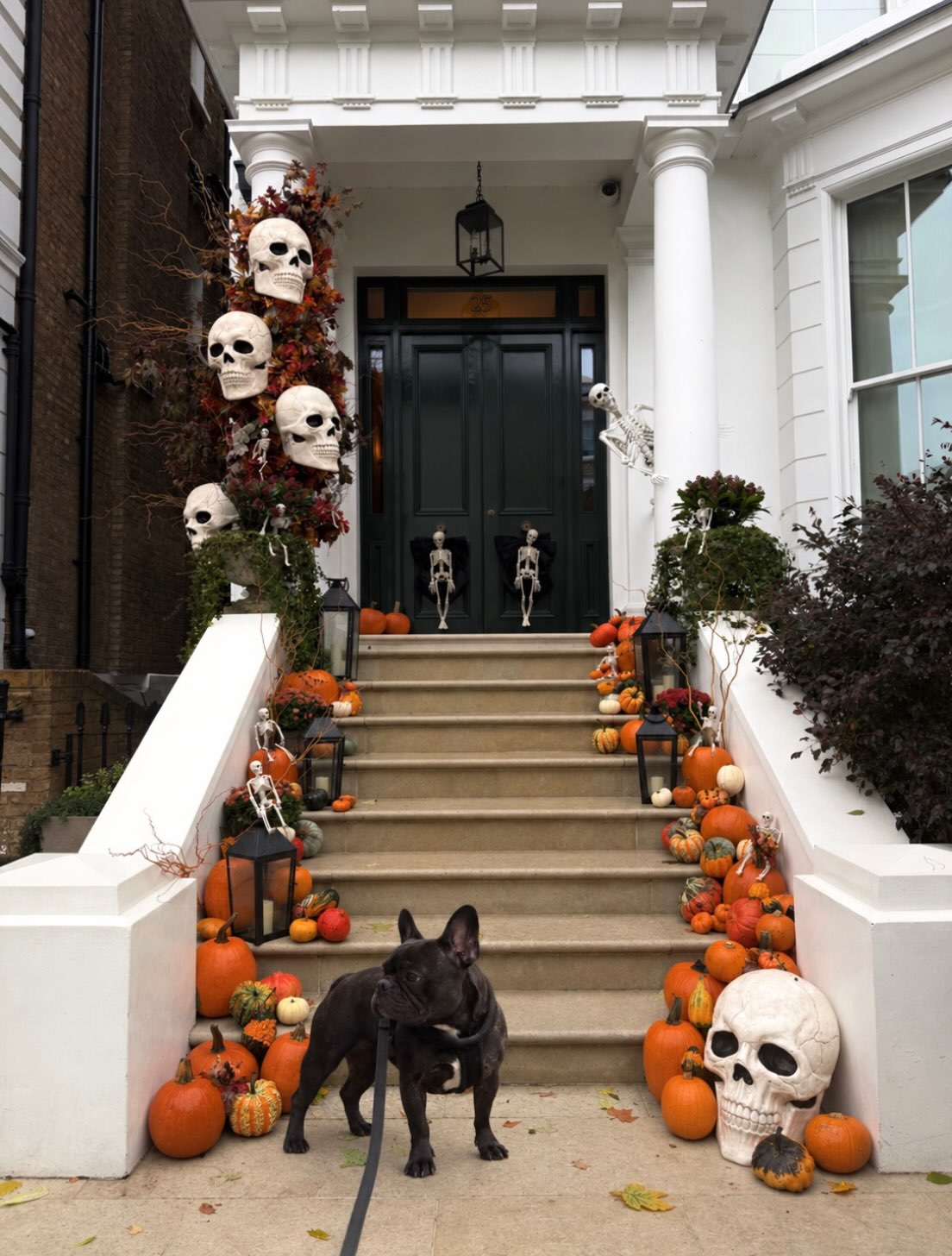 Beka found the perfect spooky spot for her Halloween photoshoot! ππ
Sheβs ready to join our Halloween Pet Competition! π§‘
Show Beka some love and give her a like! πΎ